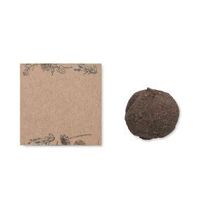 BOMBI Eco-Friendly Wildflower Seed Bomb Kit - GiftRetail MO6908