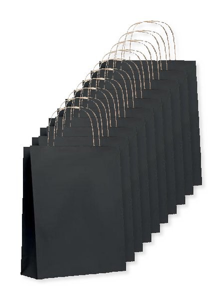 PAPER TONE S Eco-Friendly Small Kraft Paper Gift Bags with Handles